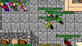 Mat lunara on screen