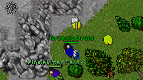Grzeniu Druid on screen