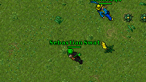 Sebastian Swat on screen