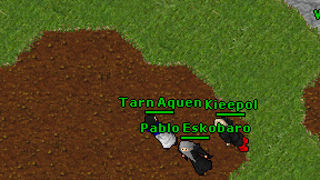 Tarn Aquen on screen