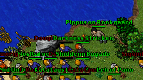 Pippus on Rookgaard on screen
