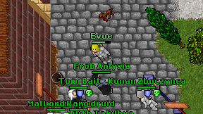 Evoe on screen