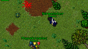 Sirmeinter on screen