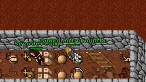 Guardian Of Knights on screen