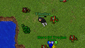Tibullus on screen