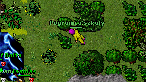 Pogromca'szkoly on screen