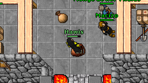 Hawis on screen