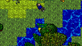 Xoogi on screen