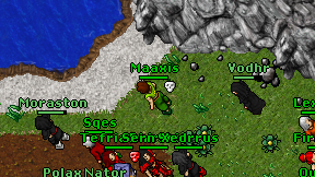 Maaxis on screen