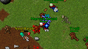 Maruch Druid on screen