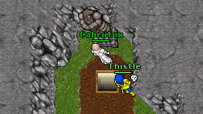 Cabriitox on screen