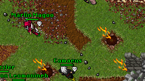 Camaeus on screen