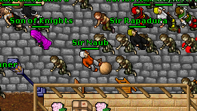 Sir Naub on screen