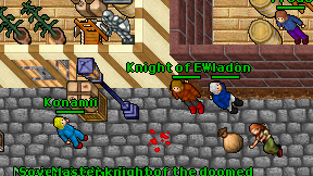 Knight of Eternia on screen