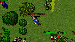Elder Enzo on screen