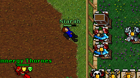 Niarah on screen