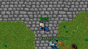 Vailz on screen