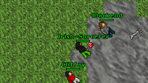 Irish-Sorcerer on screen