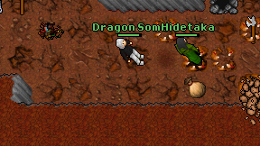 Dragon Soma on screen