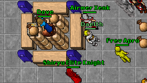 Shiryu Elite Knight on screen