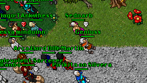 Geniuss on screen