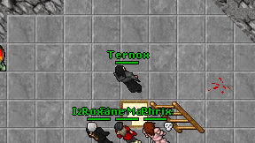 Ternox on screen