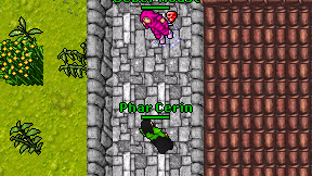 Phar Cerin on screen