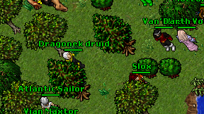 Dragonek druid on screen