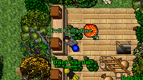 Evil Palladine on screen