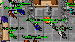 Ninja Turthels on screen