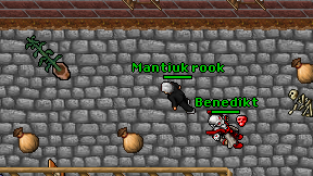 Mantiuk rook on screen