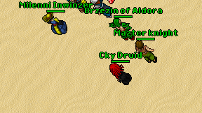Cky Druid on screen