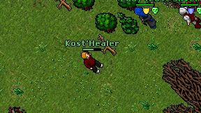 Kost'Healer on screen