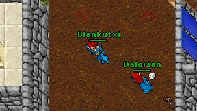 Blankutxi on screen