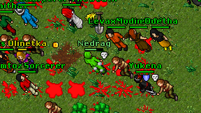 Nedrag on screen