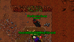 Pedronchas on screen