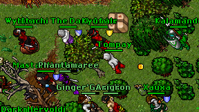 Tompay on screen