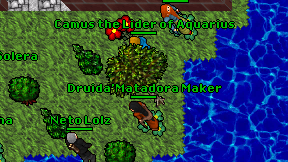 Druida'Matadora Maker on screen