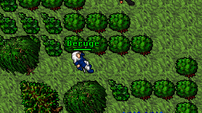 Beruge on screen