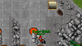 Faer Edel on screen