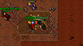 Endust on screen