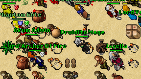 Druidito Mage on screen