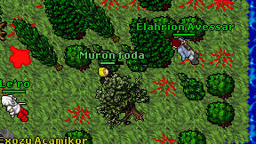Muron foda on screen