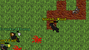 Silent-Wind on screen