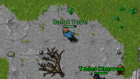 Bolat Tove on screen