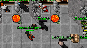 Xaaro on screen