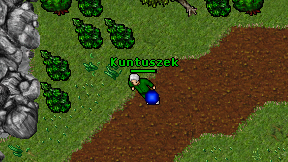 Kuntuszek on screen