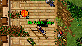 Sir Prisioneiro on screen