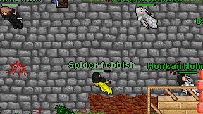 Spider febbish on screen