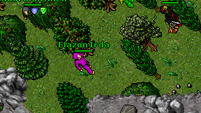 Elazon Irda on screen